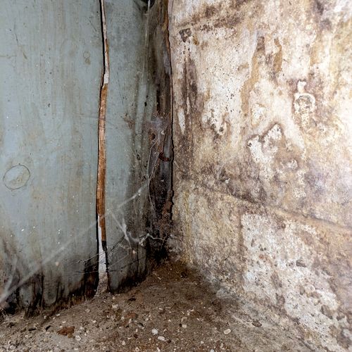 Basement walls are prime locations for mold to gro