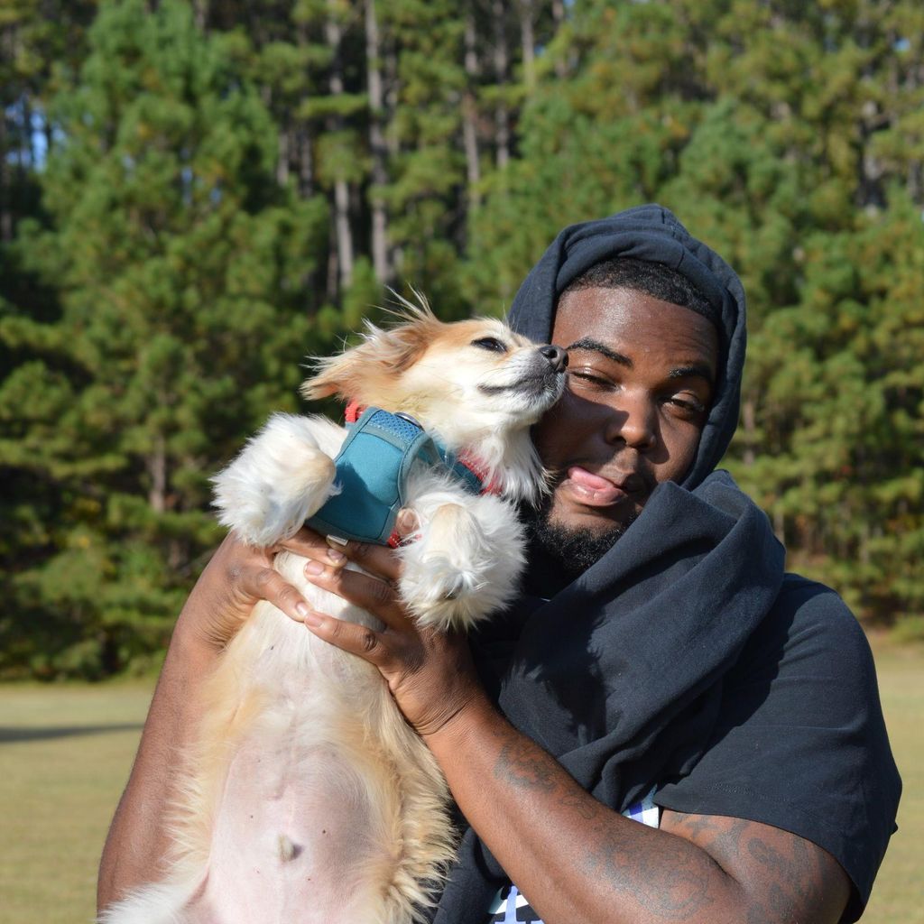 Everyday Dog Training