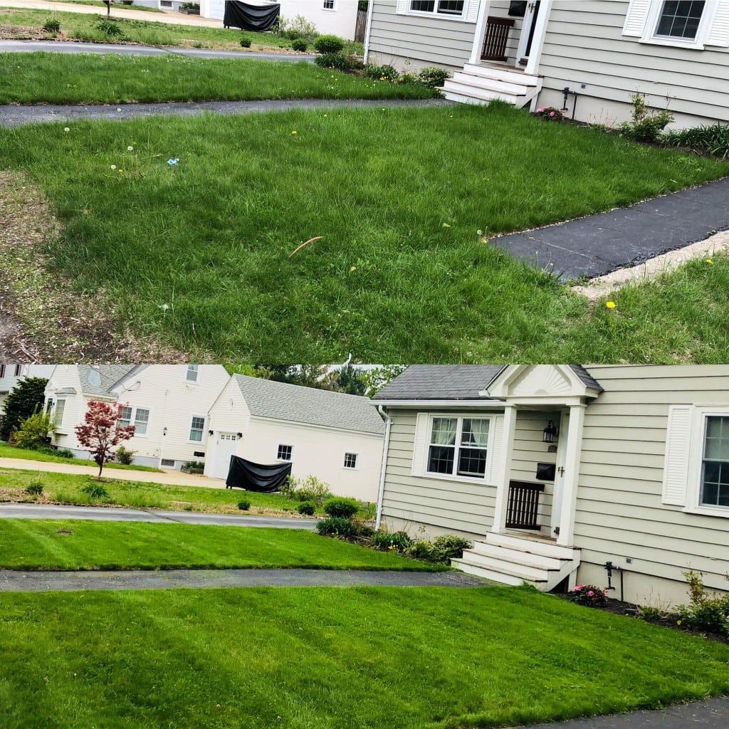 Spring Lawn Clean Up
