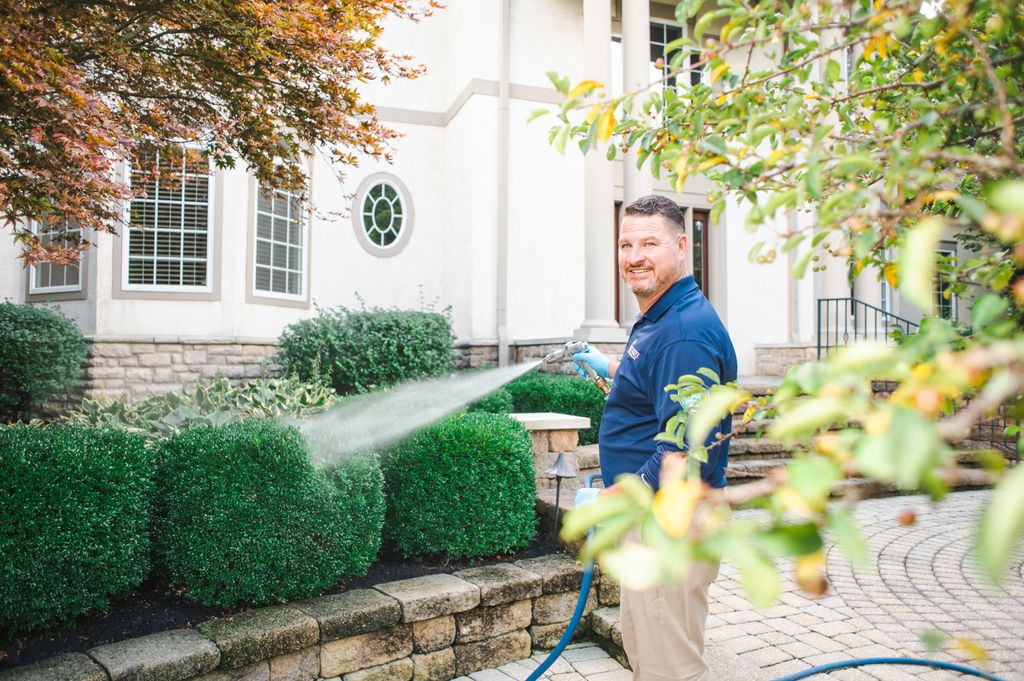 Proven Eco-Friendly Pest Removal Results