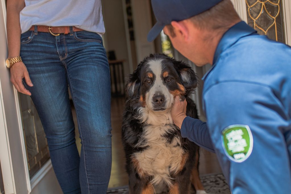 A Caring Approach for Children & Pets!