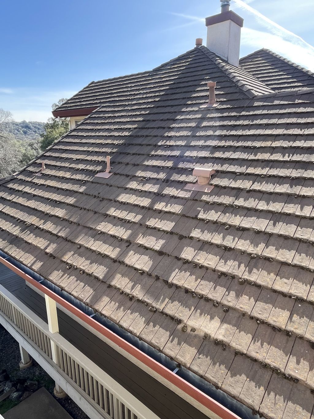 We pest proof homes as well. Checking your home fr