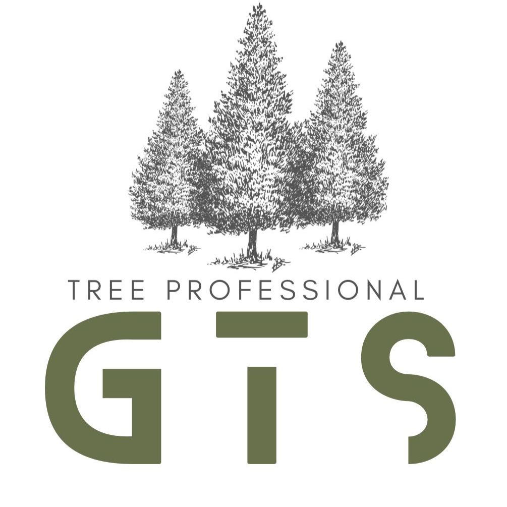 GTS tree professionnal