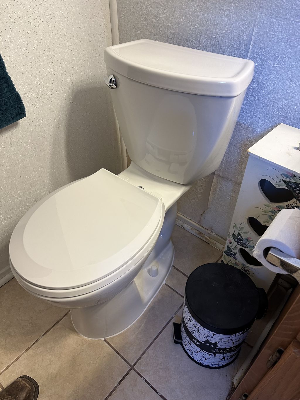 Toilet Installation or Replacement