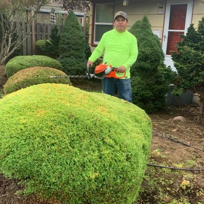 Avatar for Sebastian Lawn  care