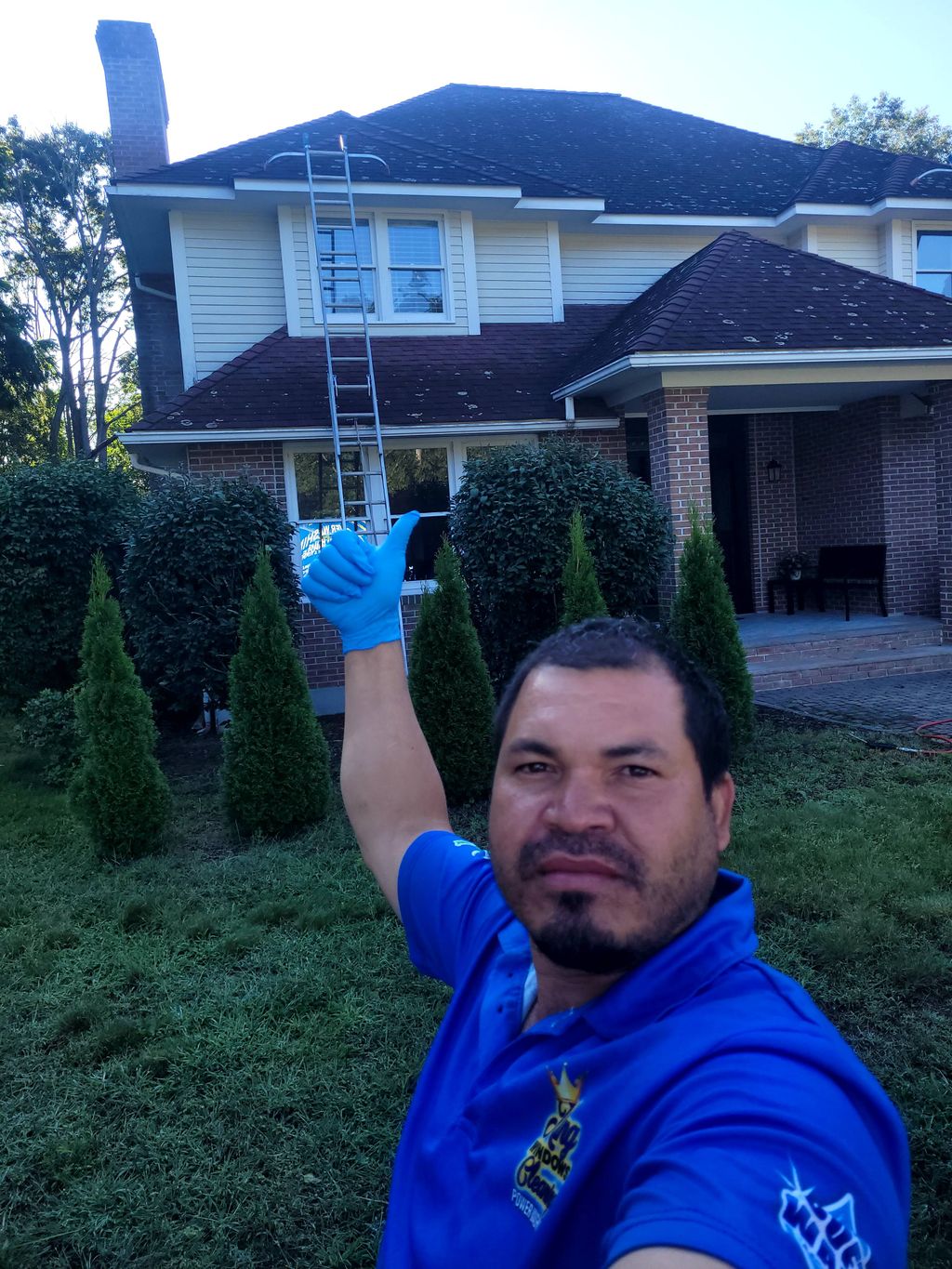 specialist roof cleaning 