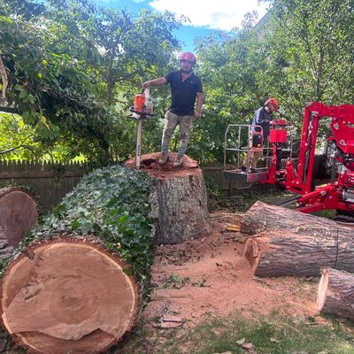 Avatar for López Brothers tree services & construction