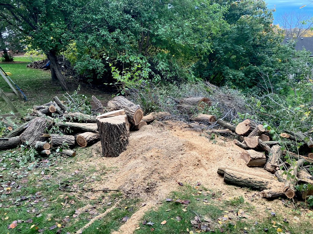 Tree Trimming and Removal