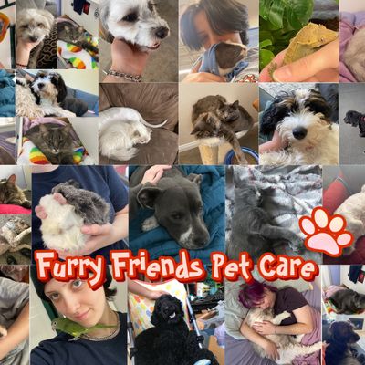 Avatar for Furry Friends Pet Care