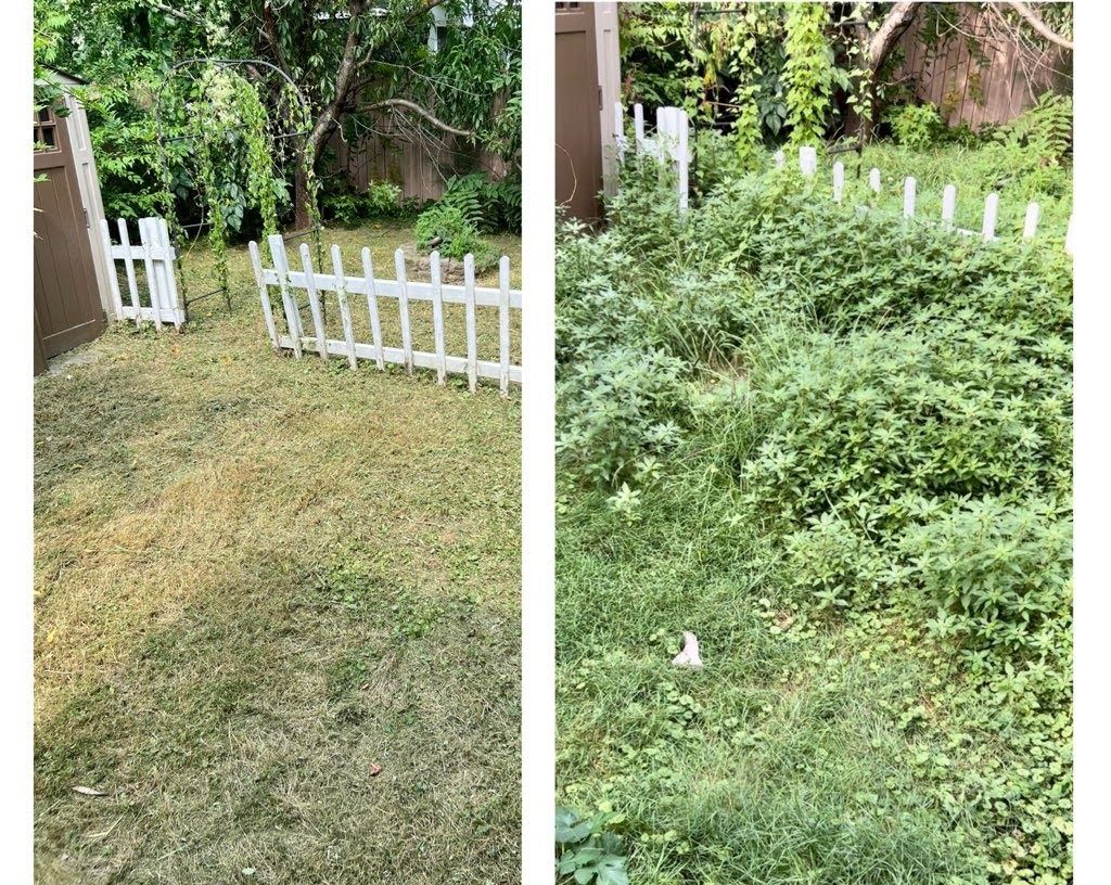 Lawn Mowing and Trimming