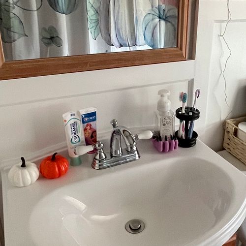 Sink cleaning and light decorating 