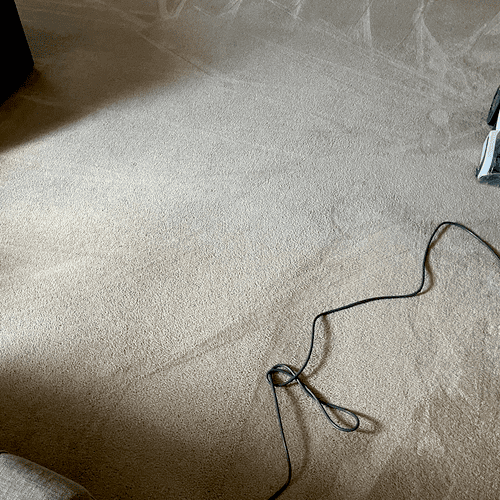 Carpet clean 