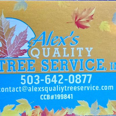 Avatar for Alex's Quality Tree Service, Inc