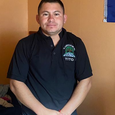 Avatar for TL landscaping LLC