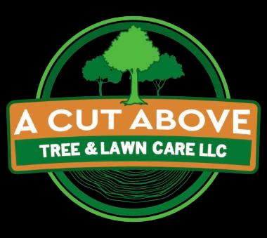 Full Service Lawn Care