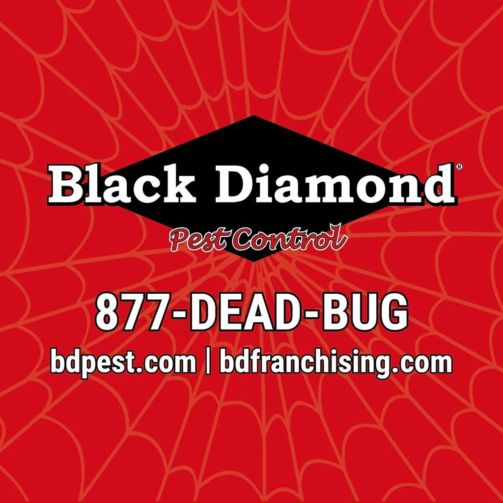 Black Diamond Pest Control - Cincinnati