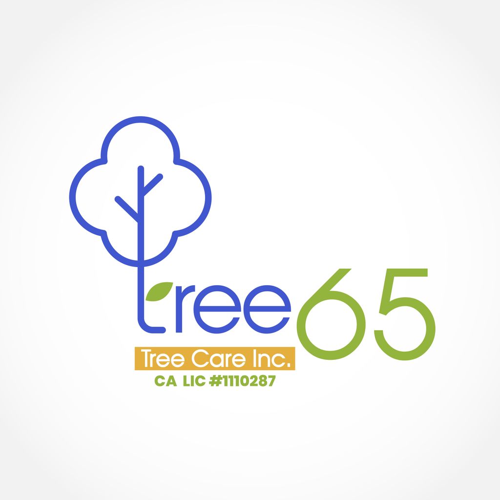 Tree65 Tree Care Inc.