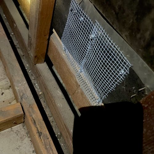 Featured Projects