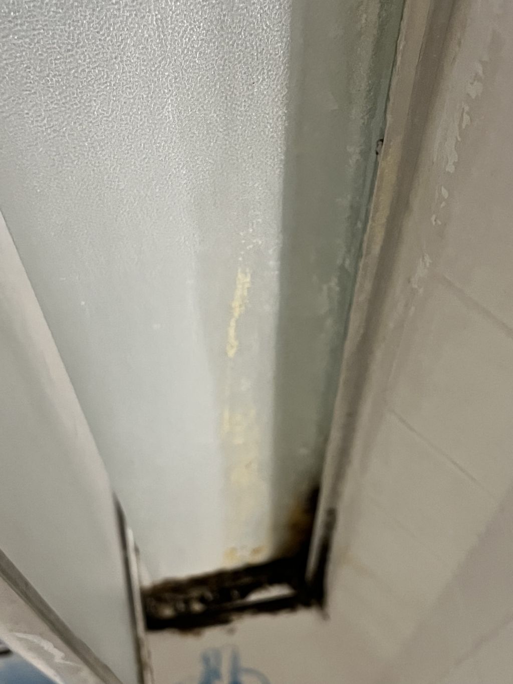 Before. Mold in standing shower 