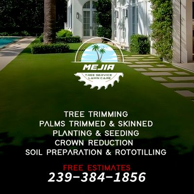 Avatar for Mejia Tree Service And Lawn Care