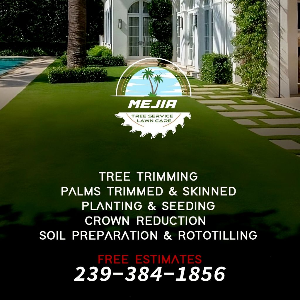 Mejia Tree Service And Lawn Care