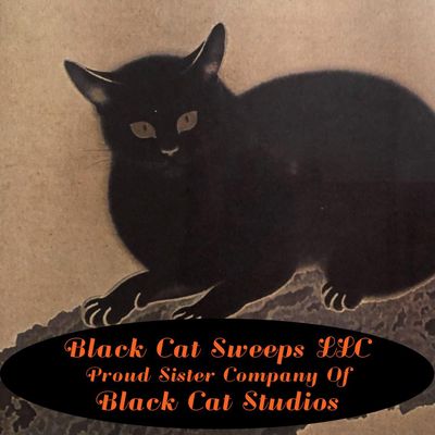 Avatar for Black Cat Sweeps LLC