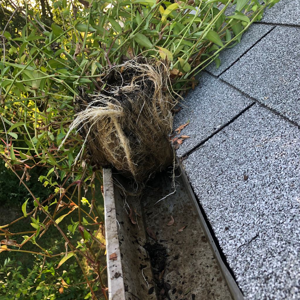 All season gutter cleaning