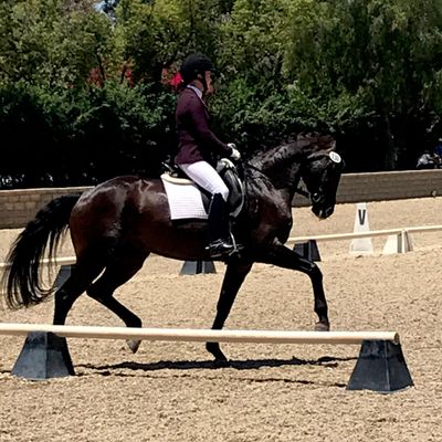 Avatar for Triana's Dressage Training