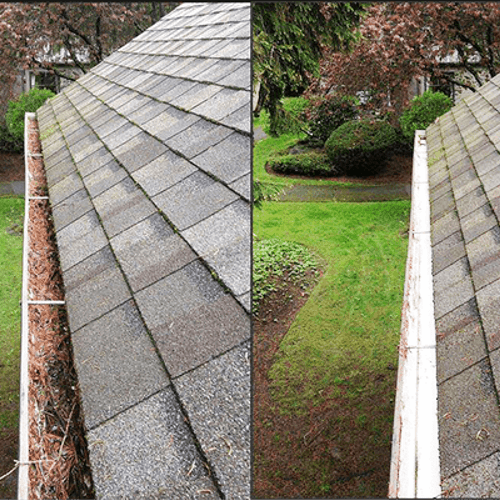 Gutters cleaning 