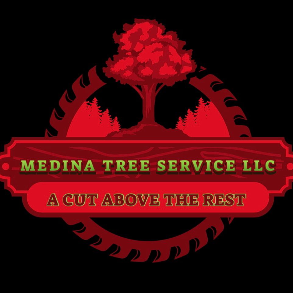 Medina Tree Service LLC