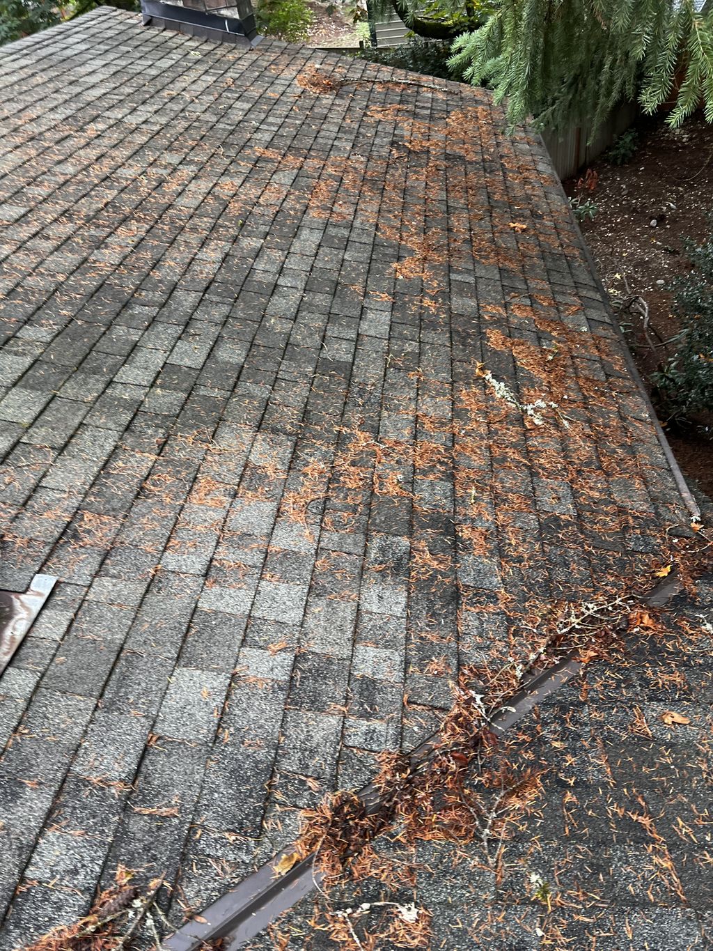 Gutter Cleaning and Maintenance