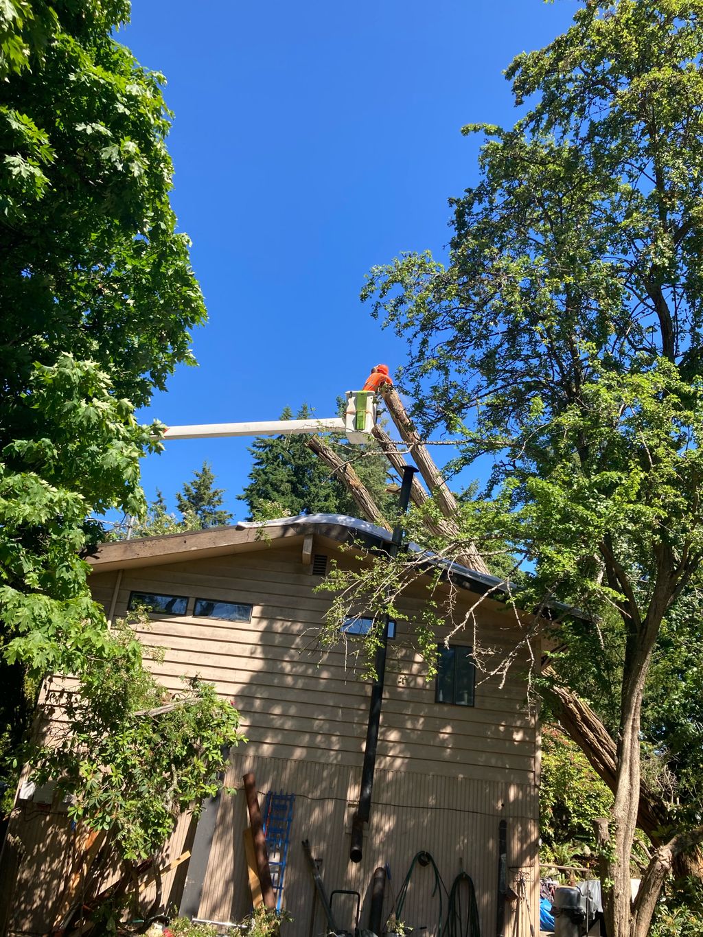 Homeowners' insurance claim storm cleanup work via