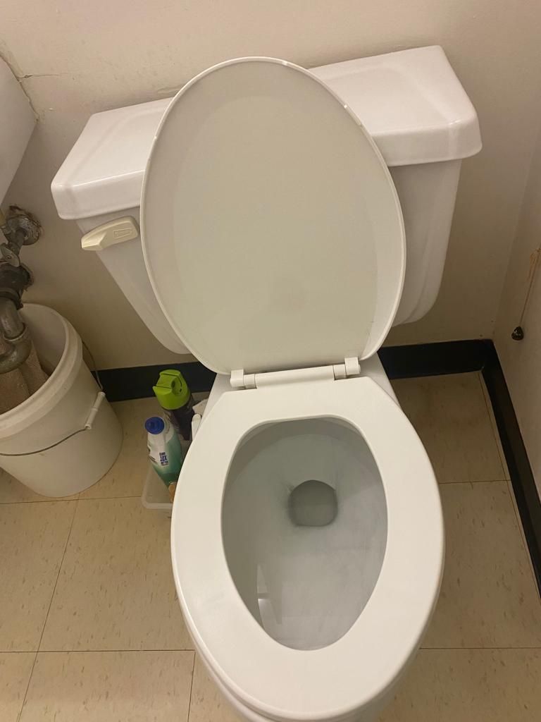 After, Cleaned Toilet.