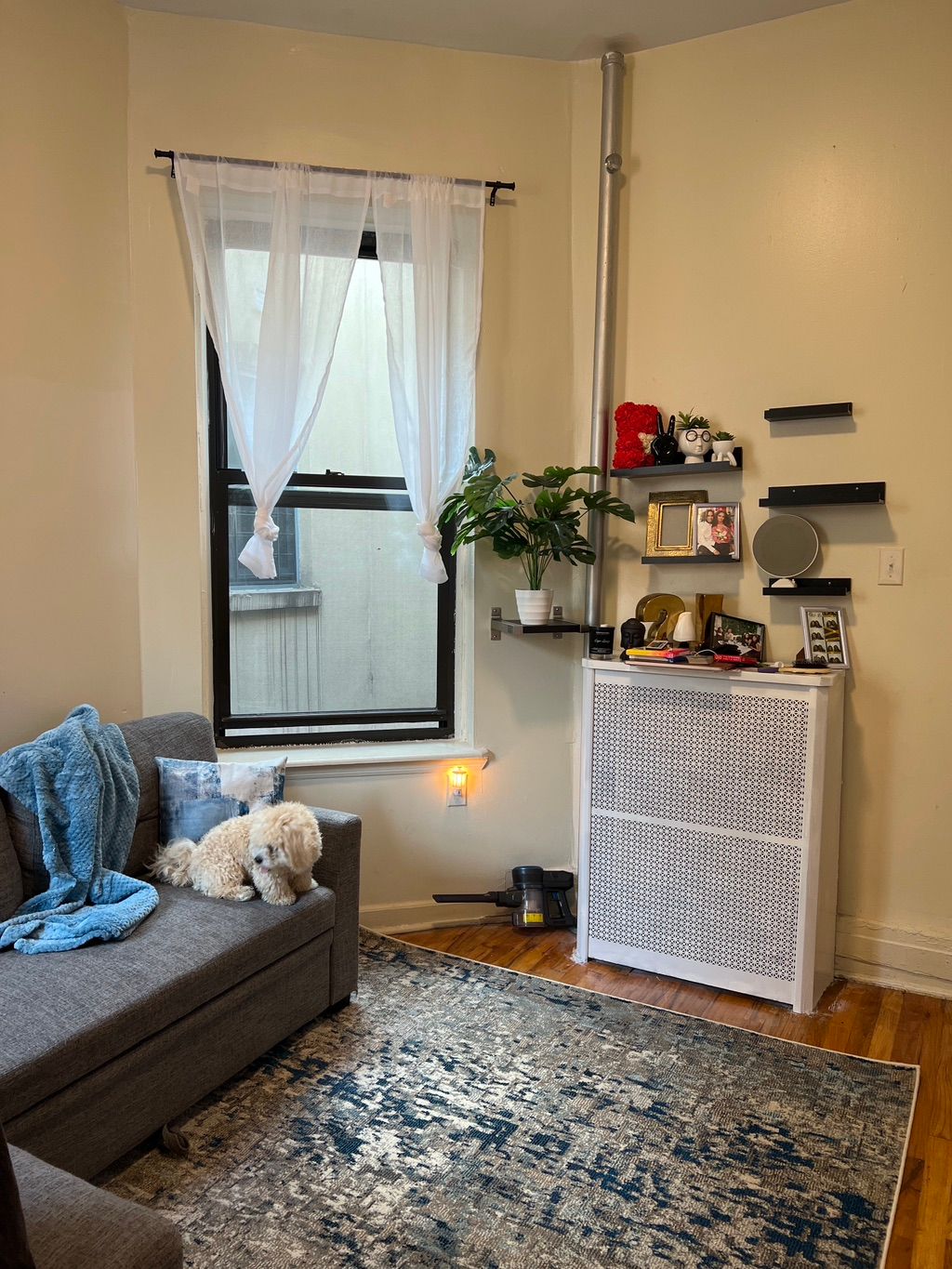 Customer photos