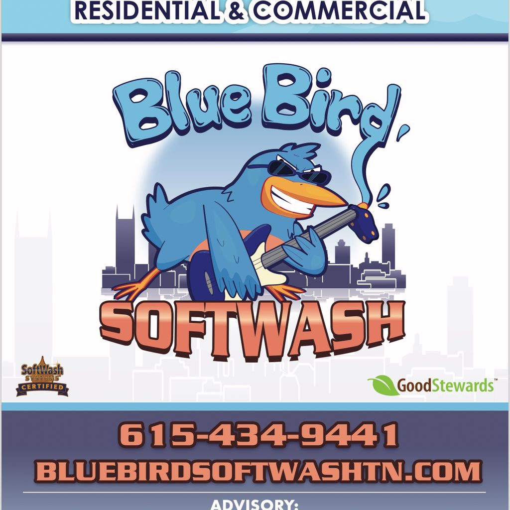 Bluebird softwash