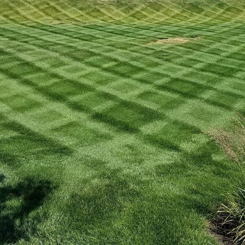 Full Service Lawn Care