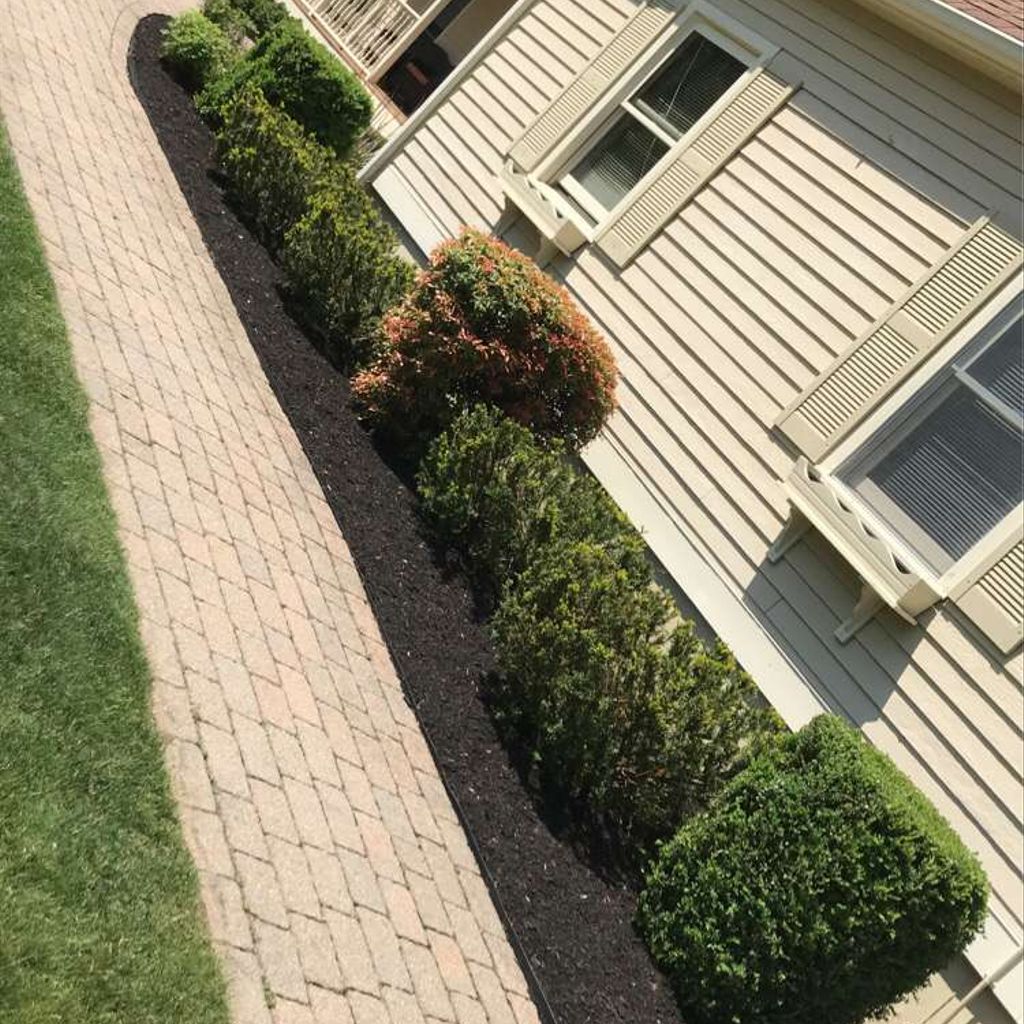 Yard With Plant And Sidewalk Ideas March 2024 Thumbtack