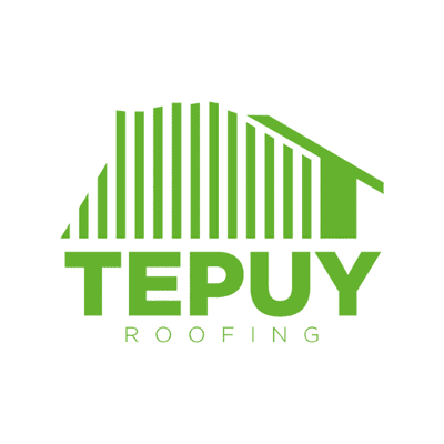 Avatar for Tepuy Roofing