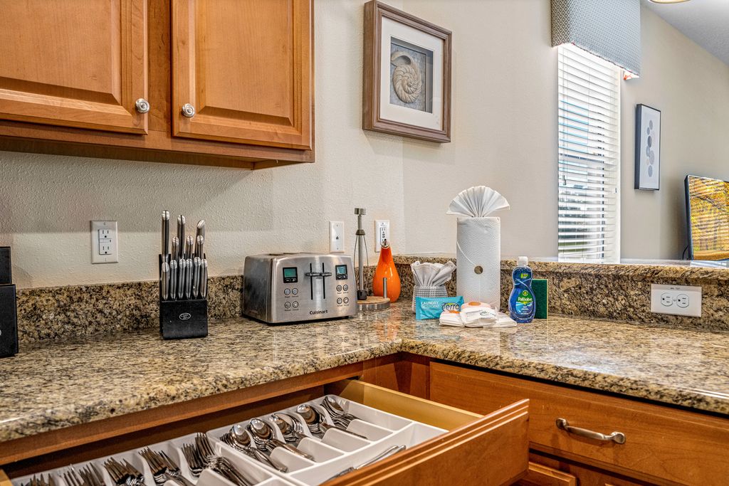 Professional Cleaning Services 