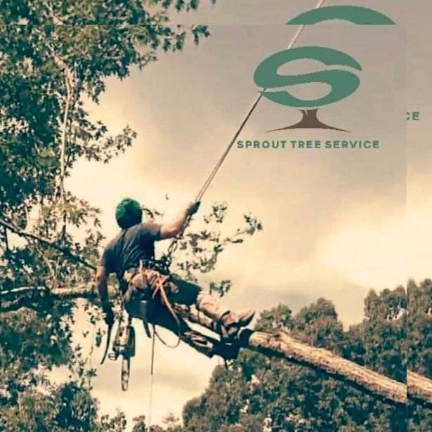 Sprout Tree Service