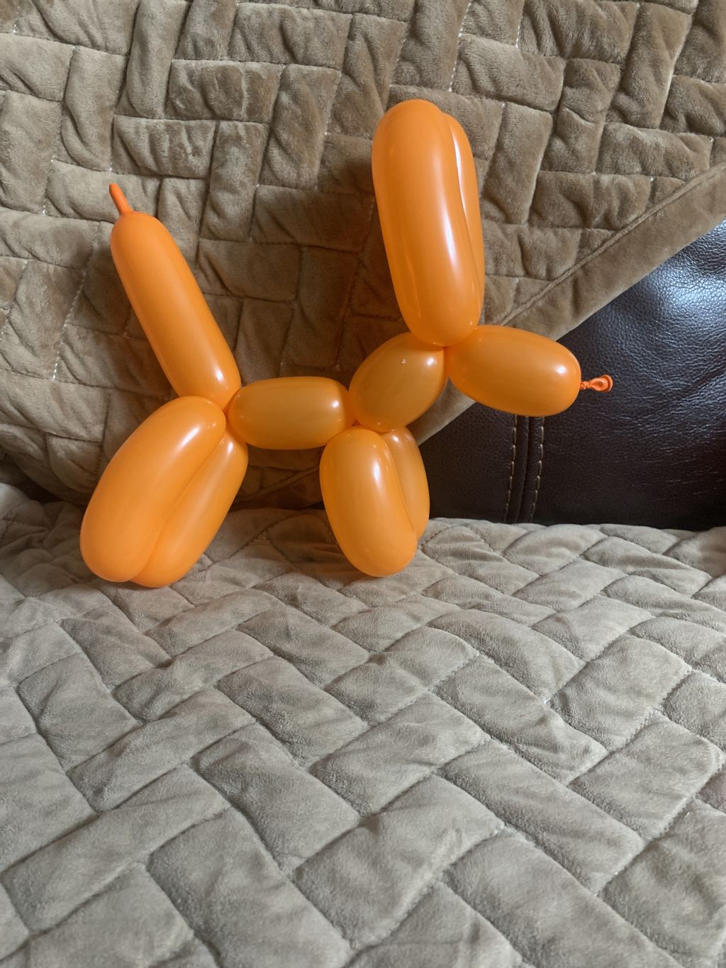 Balloon Twisting