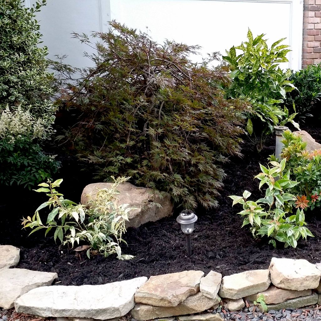 Brothers & lawns landscaping/ HomeMaintenance