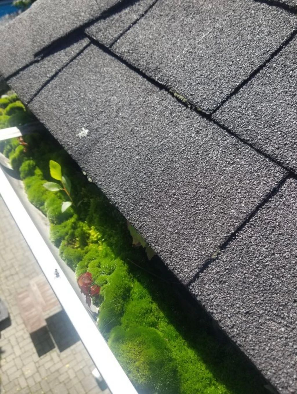 Gutter Cleaning and Maintenance