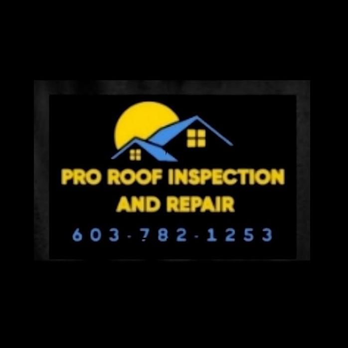 Pro Roof Inspection & Repair