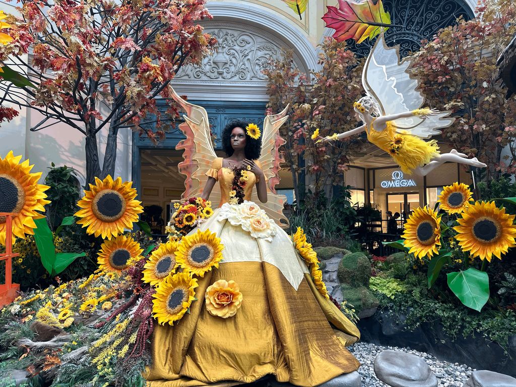 Fall Installation (Bellagio)