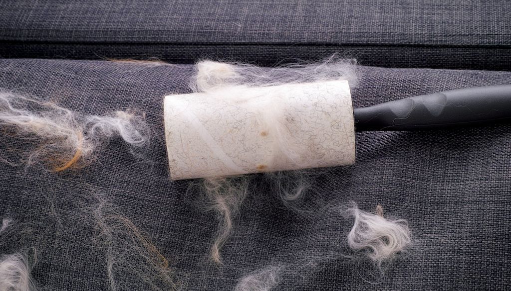lint roller picking up pet hair on couch