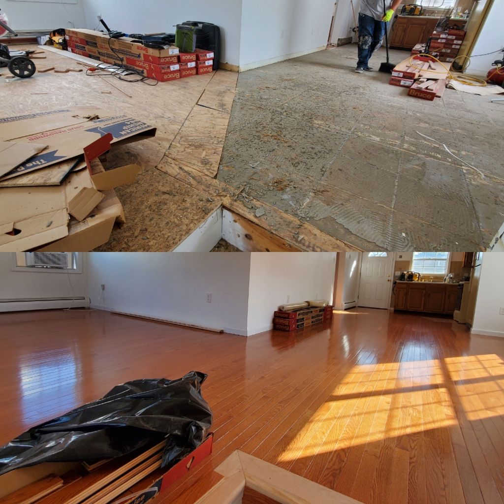 Projects and media