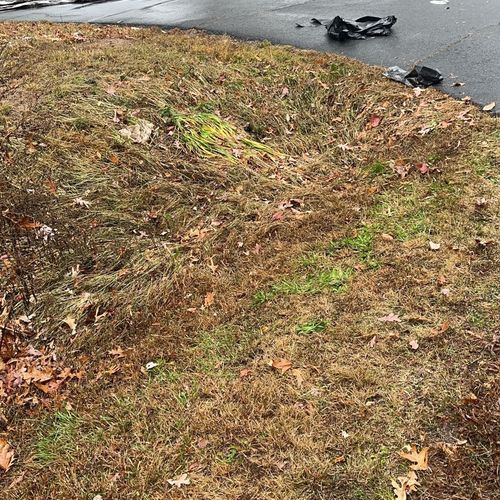 Torres Landscaping Manassas, VA Thumbtack