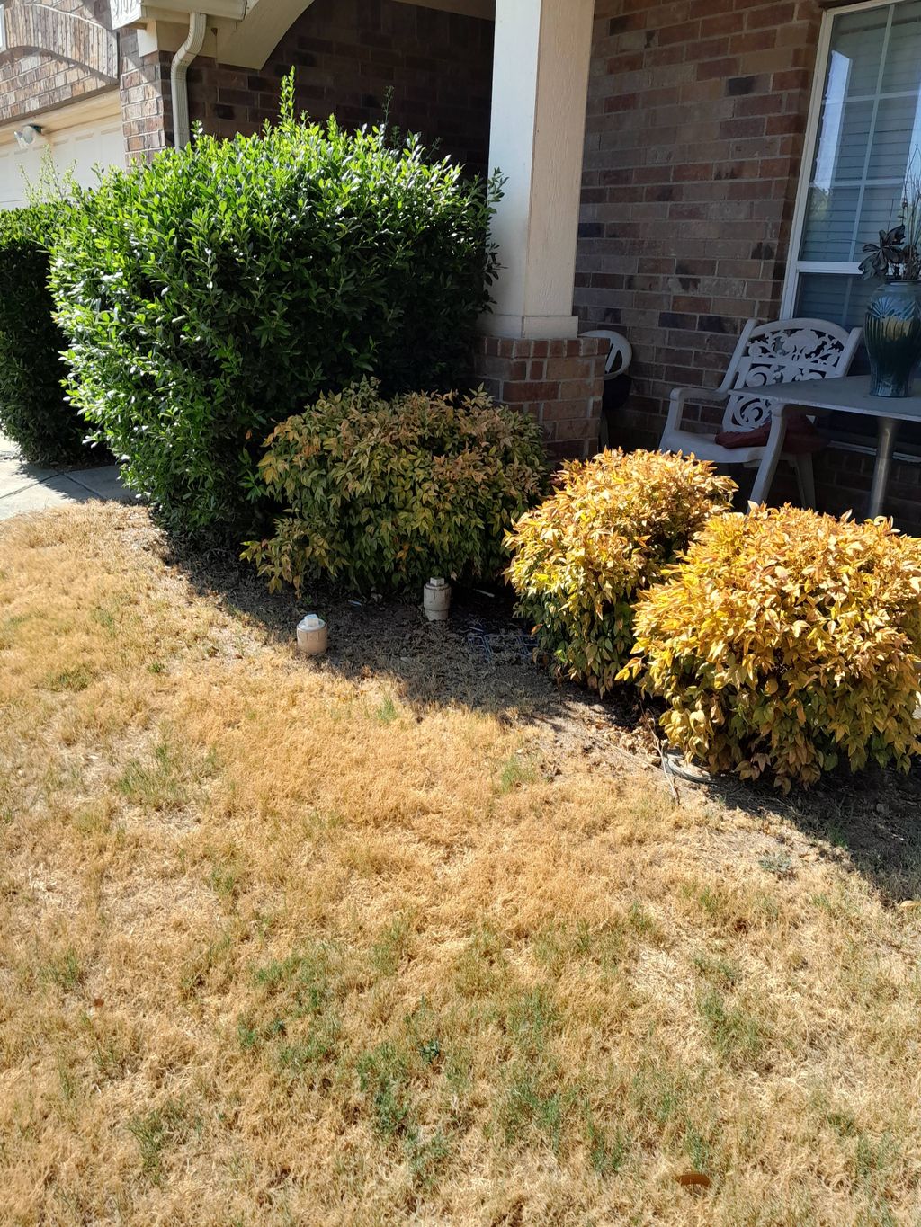 before picture