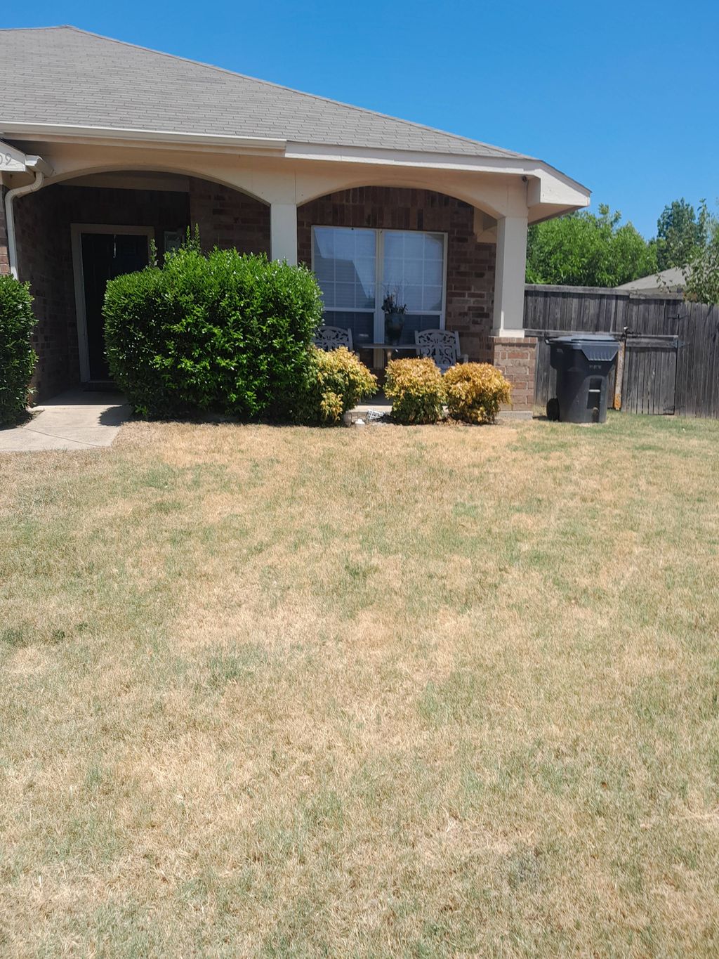 before picture